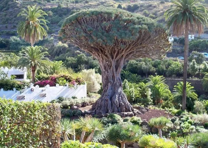 Dom wakacyjny Live Icod La Icod De Los Vinos